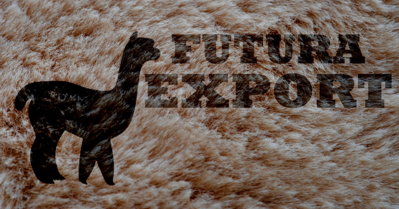 FUTURA-EXPORT